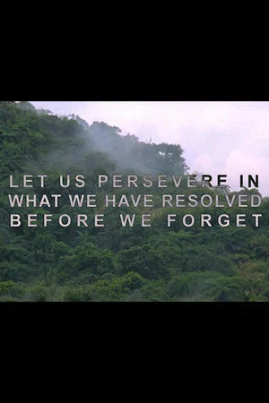 Постер: Let Us Persevere in What We Have Resolved Before We Forget