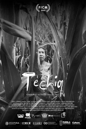 Постер: Techiq