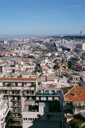 Постер: Les Baies d'Alger