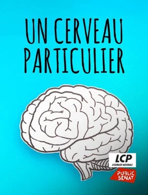 Постер: Un cerveau particulier