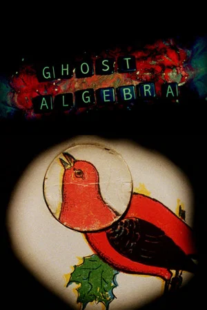 Постер: Ghost Algebra