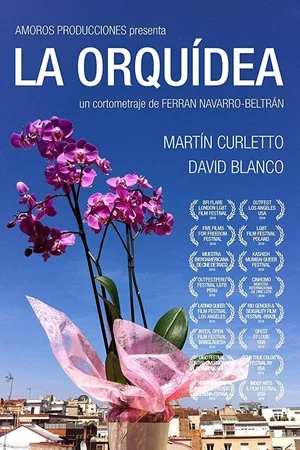 Постер: La Orquídea