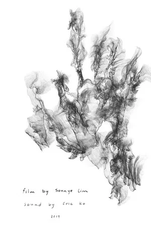 Постер: Perennial Stream