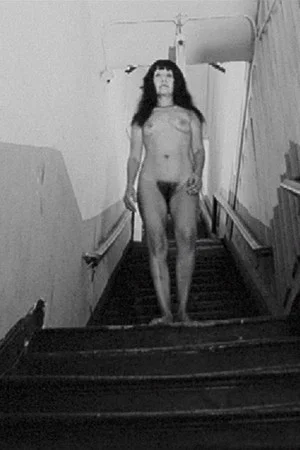 Постер: Nude Decending the Stairs