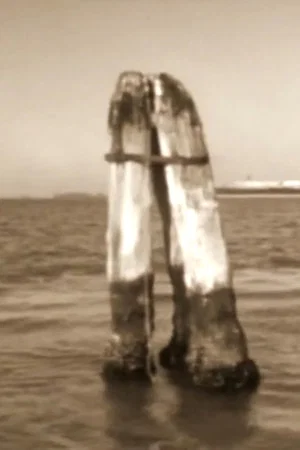 Постер: Bricola