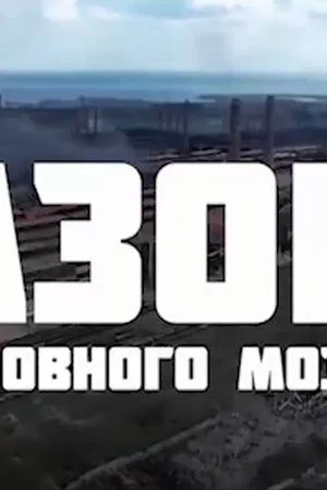 Постер: Azov Brain Rot