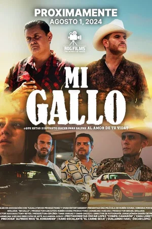 Постер: Mi Gallo