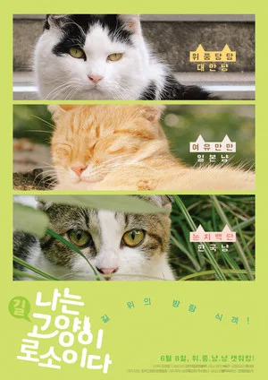 Постер: I am a Cat