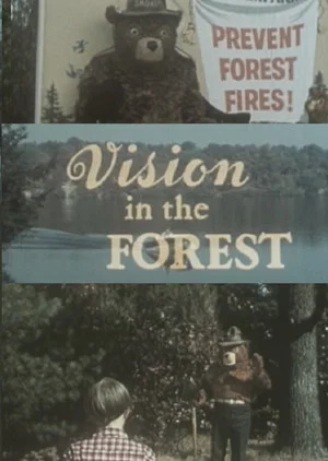 Постер: Vision In The Forest