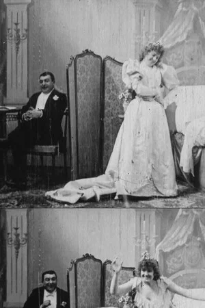 Постер: Bedtime for the Bride