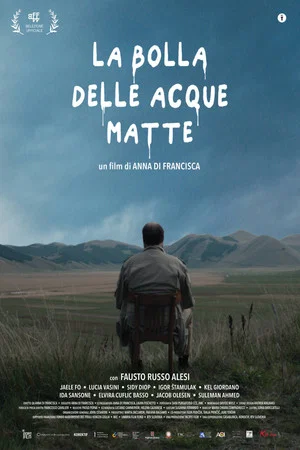 Постер: La bolla delle acque matte