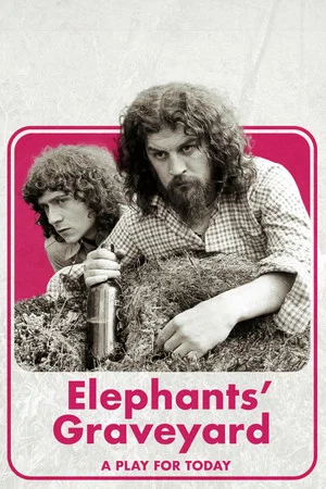 Постер: The Elephants' Graveyard