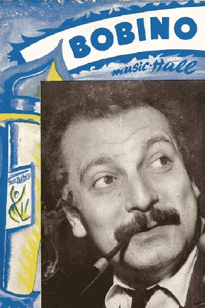 Постер: Georges Brassens - Live à Bobino