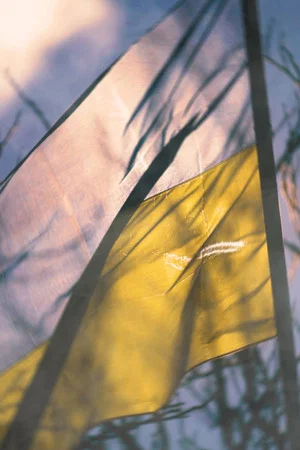 Постер: Despair and Defiance: The Battle for Ukraine