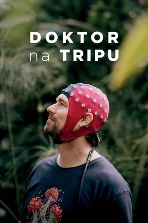 Постер: Doktor na tripu