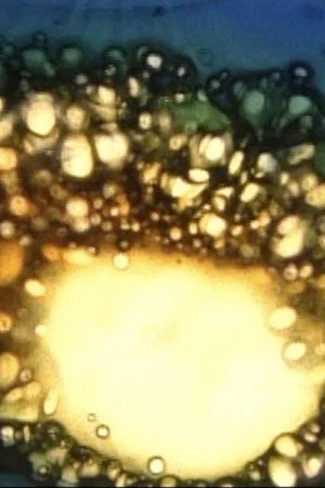 Постер: Aerodynamics of the Black Sun