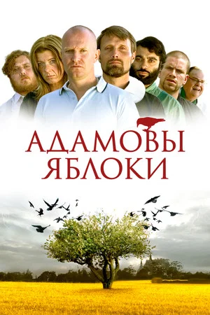 Постер: Адамовы яблоки
