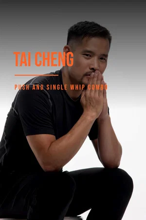 Постер: Tai Cheng - Push and Single Whip Combo