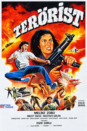 Постер: Terörist