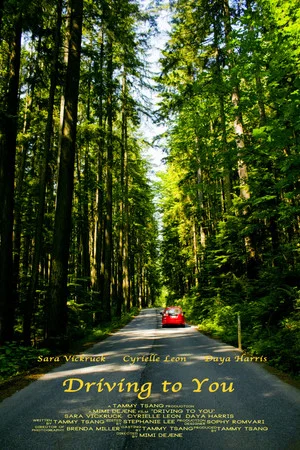 Постер: Driving to You