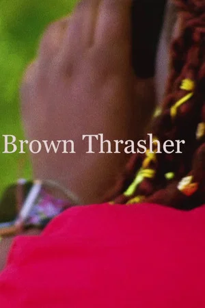Постер: Brown Thrasher