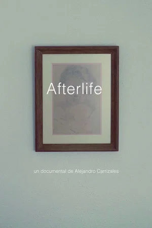 Постер: Afterlife