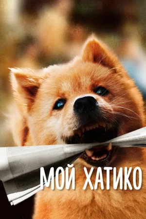 Постер: Мой Хатико