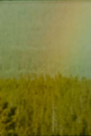 Постер: Bird
