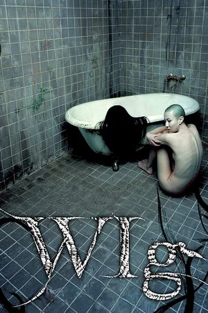 Постер: The Wig