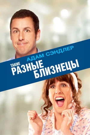 Постер: Такие разные близнецы