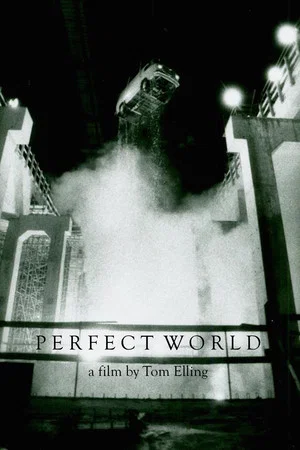 Постер: Perfect World