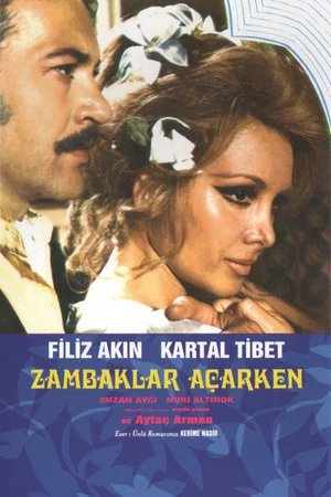 Постер: Zambaklar Açarken