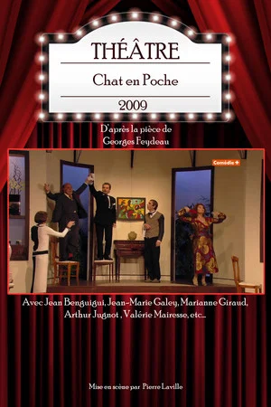 Постер: Chat en Poche