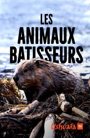 Постер: Les Animaux bâtisseurs
