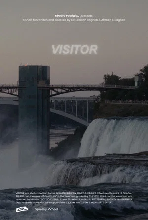 Постер: Visitor