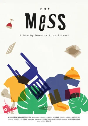 Постер: The Mess