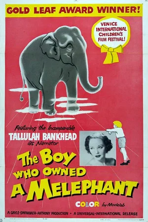 Постер: The Boy Who Owned a Melephant