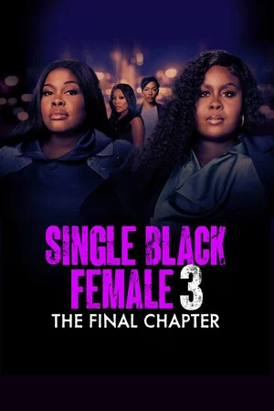 Постер: Single Black Female 3: The Final Chapter