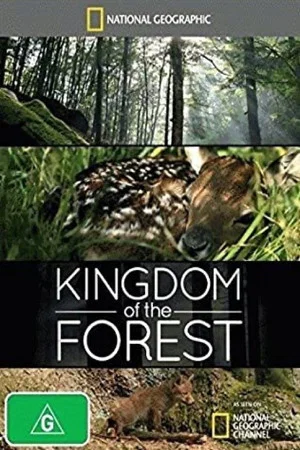 Постер: Kingdom of the Forest