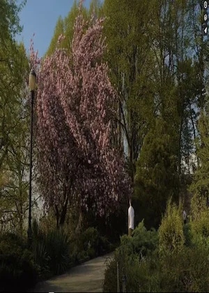 Постер: Reminiscent Hill