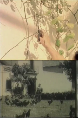 Постер: Las flores no quieren viento