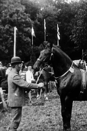 Постер: Cattle Show in Haslev