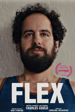 Постер: Flex