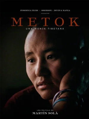 Постер: Metok