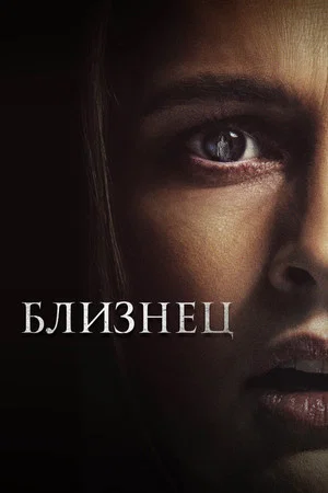 Постер: Близнец