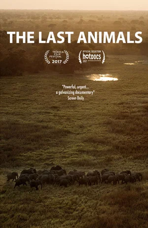 Постер: The Last Animals