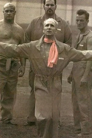 Постер: The Thin Pink Line