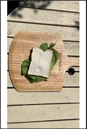 Постер: The Sandwich
