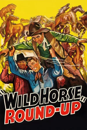 Постер: Wild Horse Round-Up
