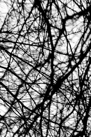 Постер: Five Hundred Plateaus